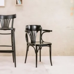 Ton 24 ® Fauteuil en bois style bistrot* Chaise De Cuisine|Chaise De Salle à Manger
