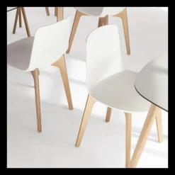 Enea Lottus ® Chaise design en polypropylène et pieds bois* Chaise De Cuisine|Chaise De Salle à Manger