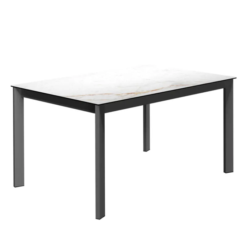 Cancio Lotus Table contemporaine en céramique avec pieds en métal* Table De Salle à Manger