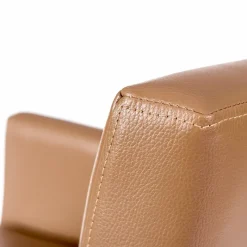 Sessio Matiz 4 Fauteuil contemporain en synthétique et bois* Chaise De Cuisine|Chaise De Salle à Manger