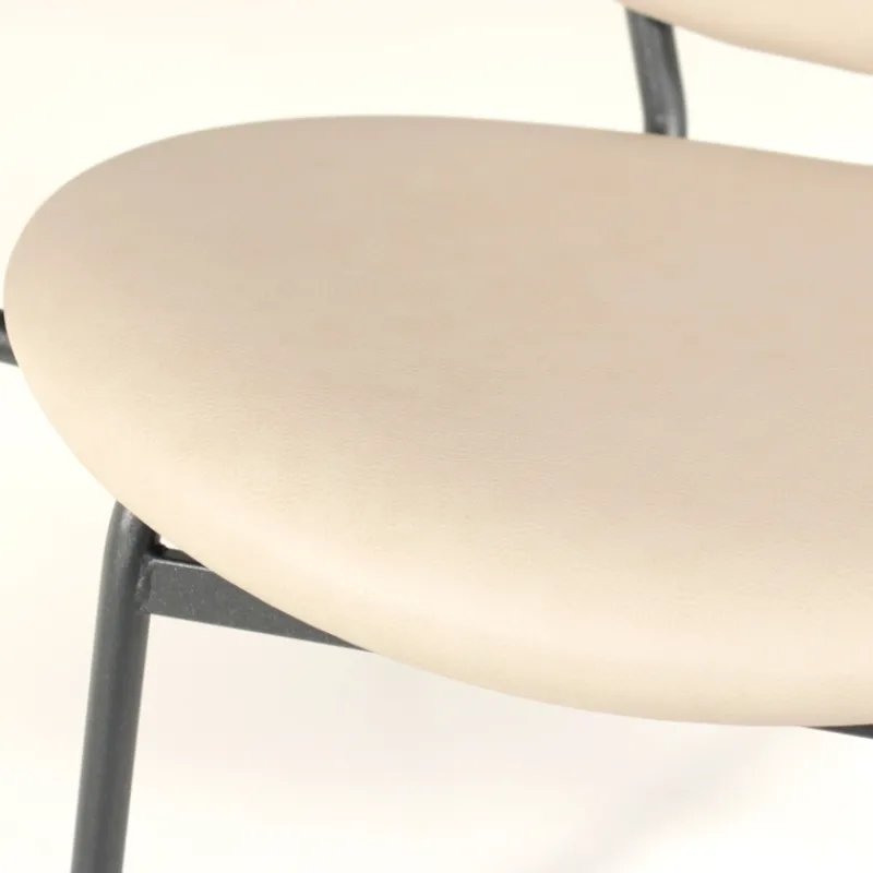 Carrier Titan ® Fauteuil confort pour personne à forte corpulence* Chaise De Cuisine|Chaise De Salle à Manger