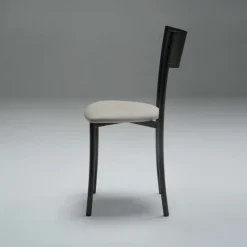 Carrier Wasabi ® Chaise moderne en synthétique et métal dossier ajouré* Chaise De Cuisine