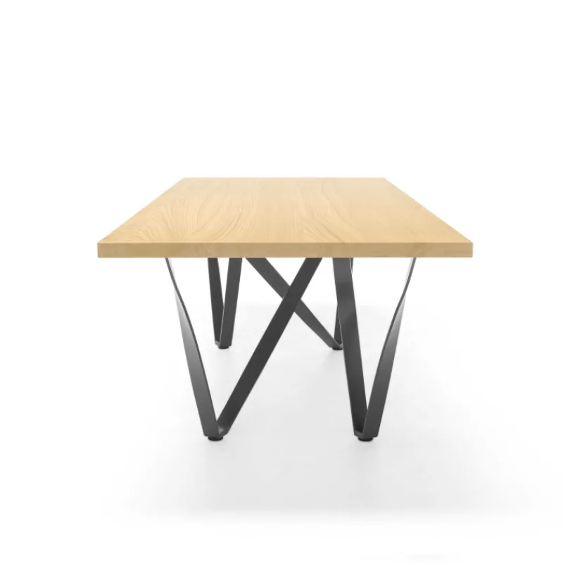 Tomasella Wave Table design rectangulaire avec pied en métal* Table De Salle à Manger